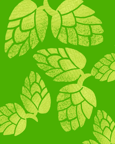 Where Do Hops Grow Best? A Look at the Ideal Climates and Harvest Seasons for Hoppy Goodness