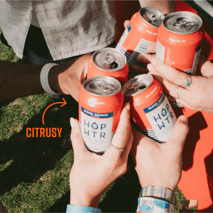 HOP-WTR 12 Pack Blood Orange