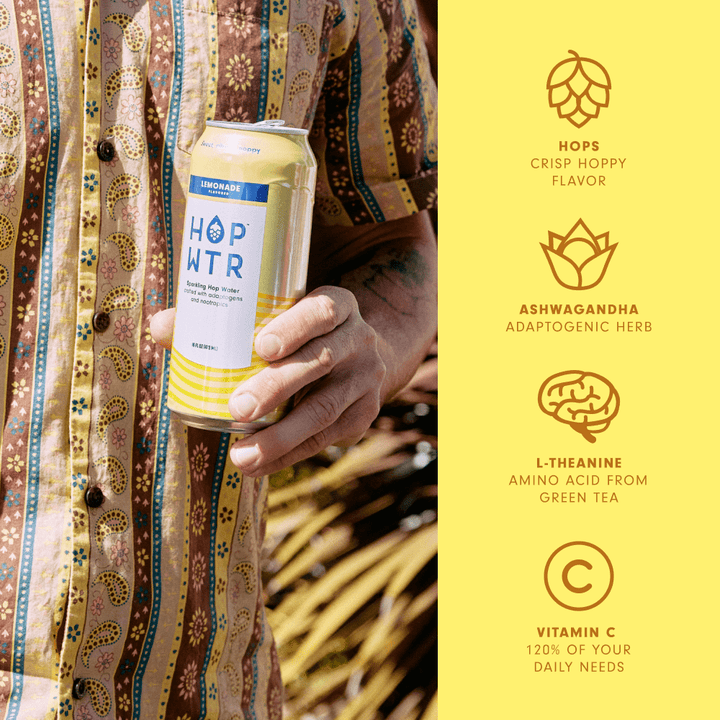 HOP-WTR 12 Pack Lemonade | 16oz Tall Boys