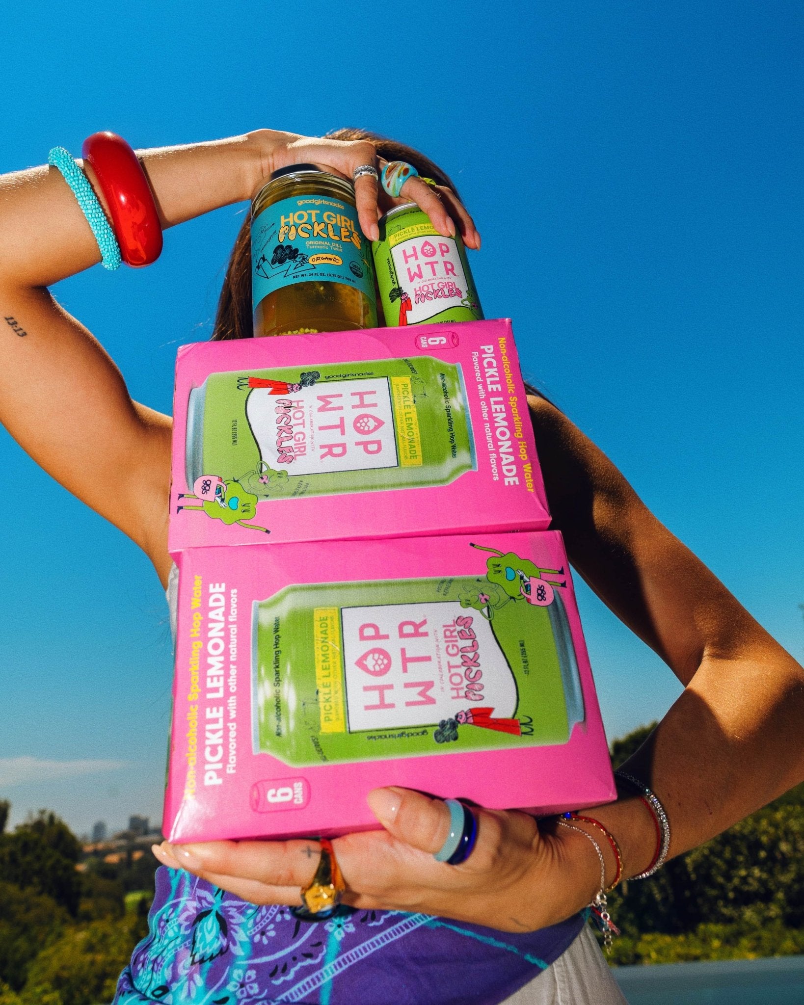 HOPWTR 12 Pack 12-pack Pickle Lemonade